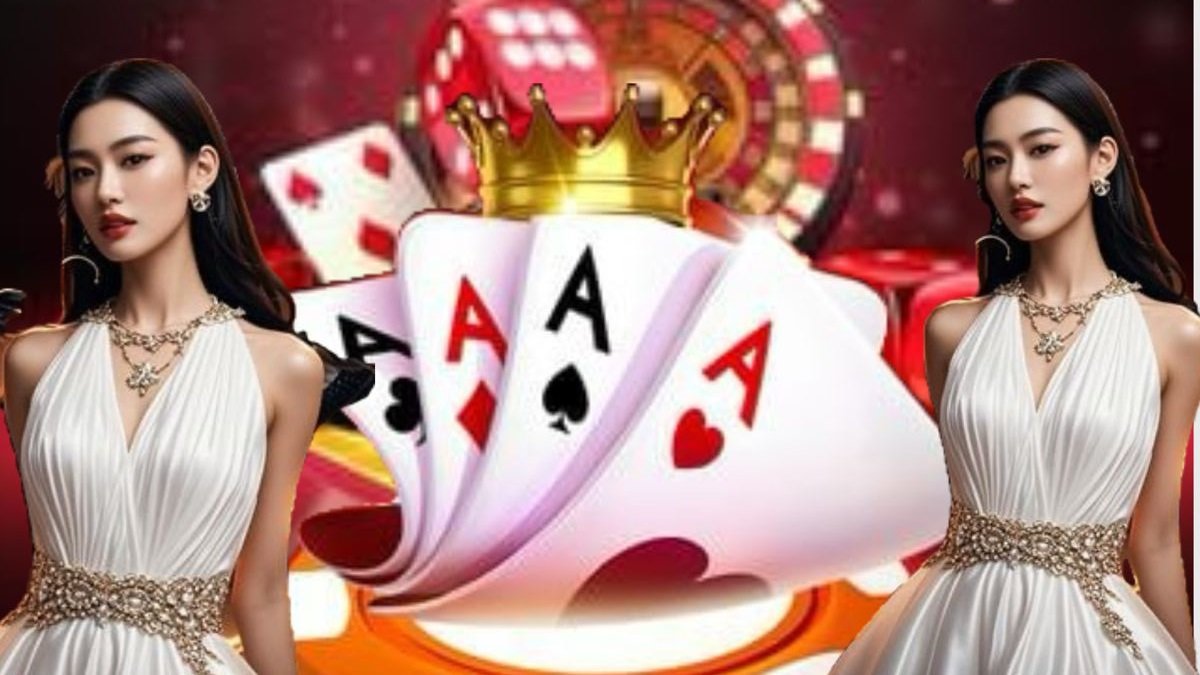 qq365